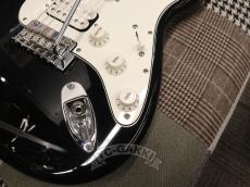 Fender Mexico 2021 Standard Stratocaster HSS_12