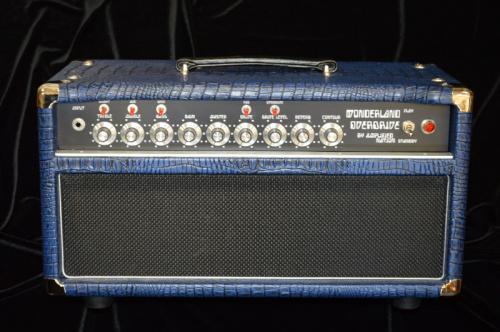 Amplified Nation Wonderland Overdrive 100W Head