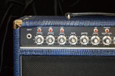Amplified Nation Wonderland Overdrive 100W Head_2