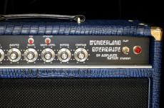 Amplified Nation Wonderland Overdrive 100W Head_3
