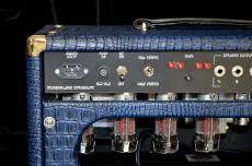 Amplified Nation Wonderland Overdrive 100W Head_5