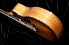 Taylor 224ce-Koa DLX_5