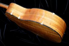 Taylor 224ce-Koa DLX_6