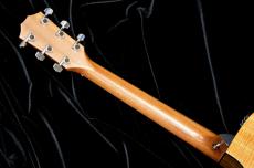 Taylor 224ce-Koa DLX_8