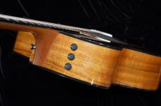 Taylor 224ce-Koa DLX_9