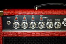 Amplified Nation Dirty Wonderland 100W Head_2