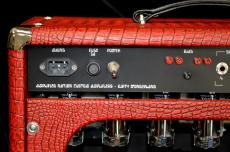 Amplified Nation Dirty Wonderland 100W Head_5