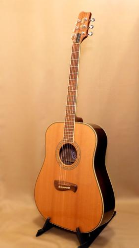 TACOMA DR-20 【演奏動画を追加しました!】