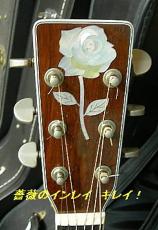 inlayparts rose white pearl_3