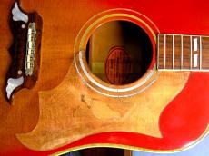 Madura Guitar Dove Replacement Pickguard_5