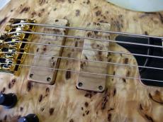TUNE TWB-5EX Burl Poplar_3