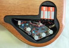 TUNE TWB-5EX Burl Poplar_4