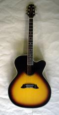 Takamine PT-010S