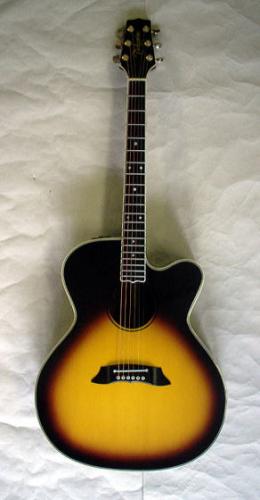Takamine PT-010S
