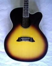 Takamine PT-010S_2