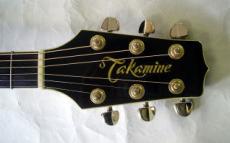 Takamine PT-010S_3