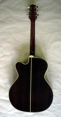 Takamine PT-010S_4