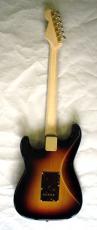 DEREK CUSTOM GUITAR PSY-080327 Custom_3