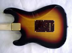 DEREK CUSTOM GUITAR PSY-080327 Custom_8