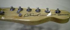 DEREK CUSTOM GUITAR PTE-071115 Custom_5