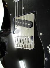 DEREK CUSTOM GUITAR PTE-071115 Custom_6
