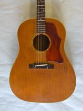 Gibson J-50