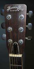 HummingBird W-250_3