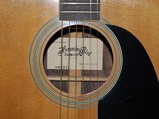 HummingBird W-250_4