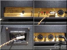 Aiken Amplification Invader MK II (Head) + Marshall 1922 (Cabinet)_6