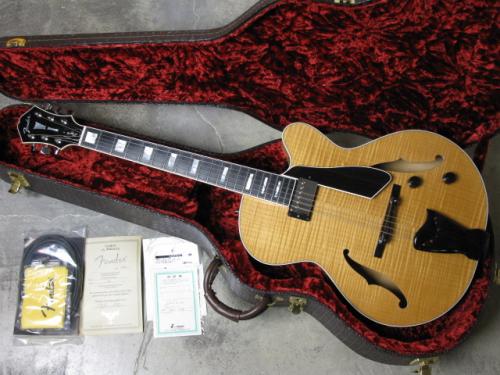 Fender D'Aquisto-Deluxe C/S [PRICE DOWN]