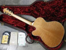 Fender D'Aquisto-Deluxe C/S [PRICE DOWN]_3