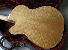 Fender D'Aquisto-Deluxe C/S [PRICE DOWN]_4