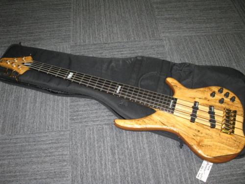 TUNE PH-5 Spolted Maple