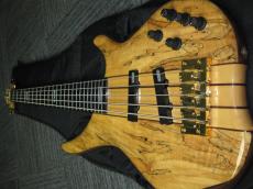 TUNE PH-5 Spolted Maple_2