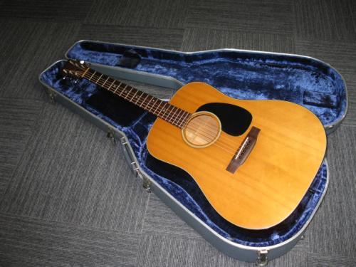 Martin 1975 D-18 W / Bluecase