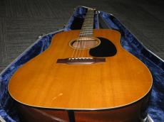 Martin 1975 D-18 W / Bluecase_2