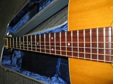 Martin 1975 D-18 W / Bluecase_4