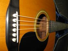 Martin 1975　000-28 W/Blue-case_3