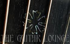 Martin Custom Shop D-14F Slotted Head Adirondack Spruce top , Cocobolo Side&Back_7