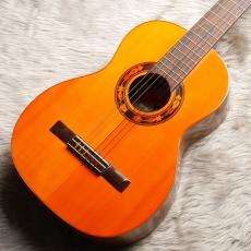 Som D'ouro[ソン・ドゥーロ] Blazilia