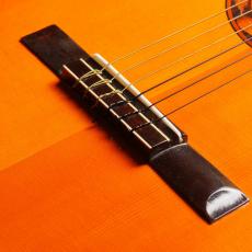 Som D'ouro[ソン・ドゥーロ] Blazilia_3