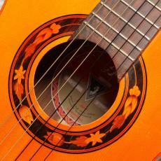 Som D'ouro[ソン・ドゥーロ] Blazilia_4