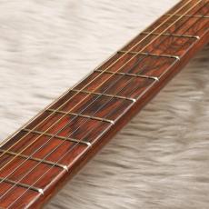 Som D'ouro[ソン・ドゥーロ] Blazilia_5