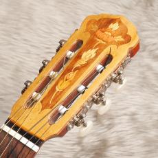 Som D'ouro[ソン・ドゥーロ] Blazilia_7