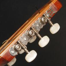 Som D'ouro[ソン・ドゥーロ] Blazilia_8