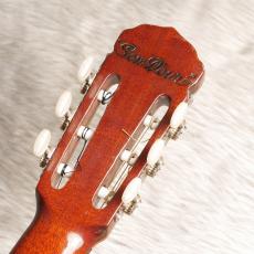 Som D'ouro[ソン・ドゥーロ] Blazilia_9