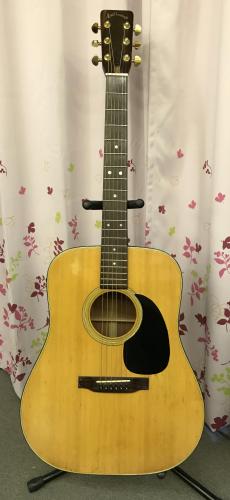 Aria Dreadnought D30