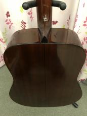 Aria Dreadnought D30_2