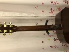 Aria Dreadnought D30_3