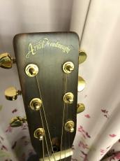 Aria Dreadnought D30_5